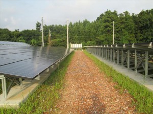 福井県あわら市太陽光発電施設（施工前）