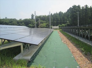 福井県あわら市太陽光発電施設（施工後）