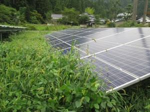 福井県鯖江市太陽光発電施設(施工前)
