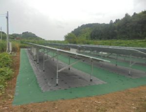 太陽光発電施設の雑草対策施工事例